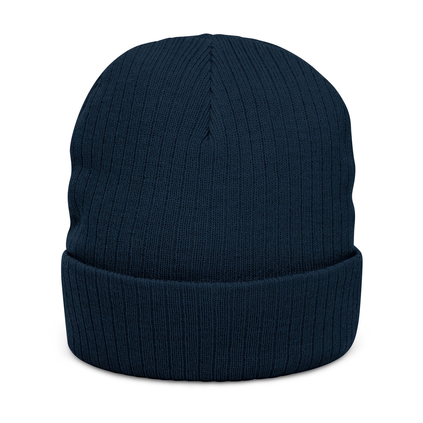 Paid To Exist Embroidered Ribbed Knit Beanie