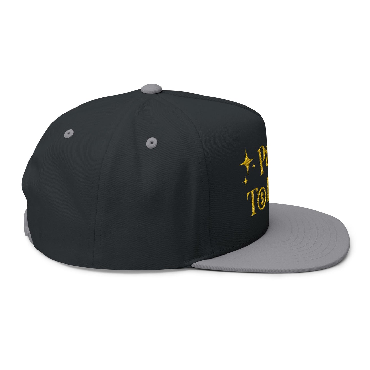 Paid To Exist Embroidered Flat Bill Cap — Abundance Wealth Baseball Cap