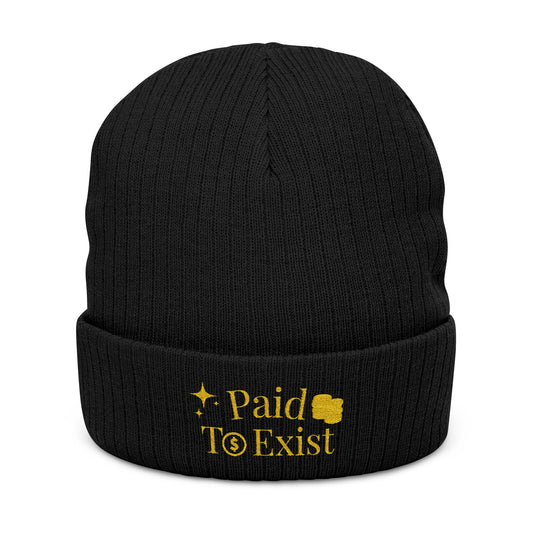 Paid To Exist Embroidered Ribbed Knit Beanie