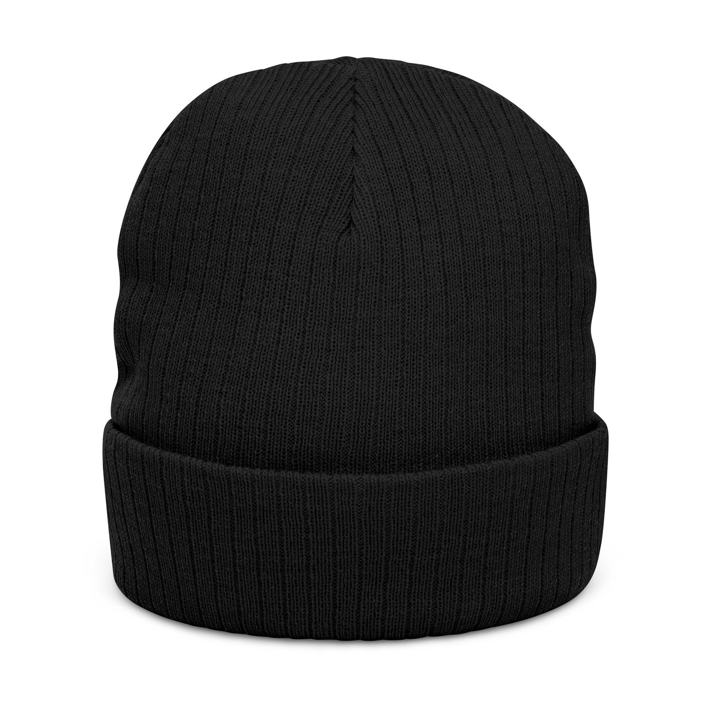 Paid To Exist Embroidered Ribbed Knit Beanie