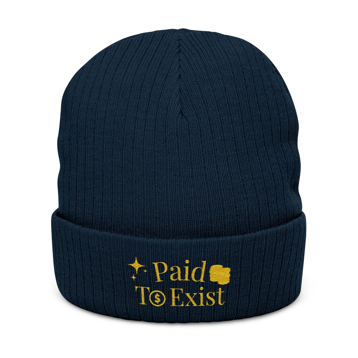 Paid To Exist Embroidered Ribbed Knit Beanie