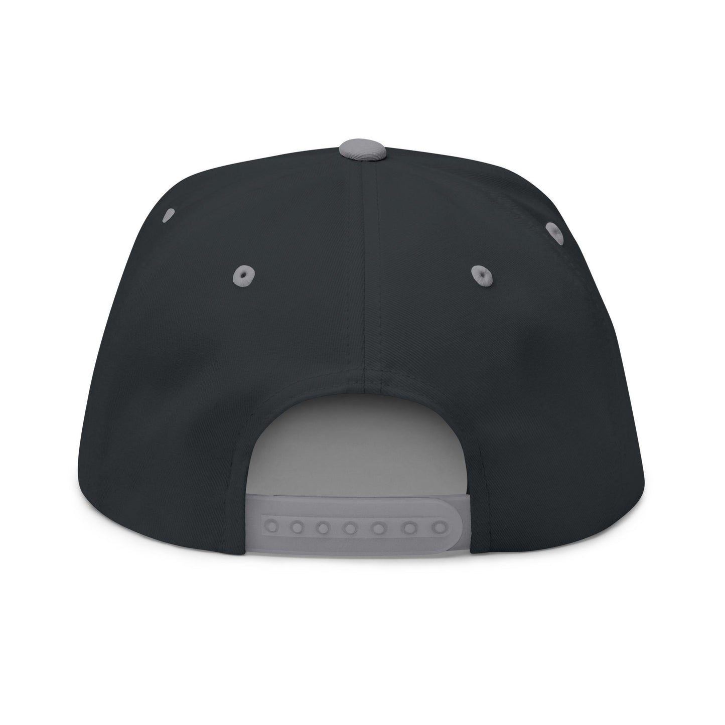 Paid To Exist Embroidered Flat Bill Cap — Abundance Wealth Baseball Cap